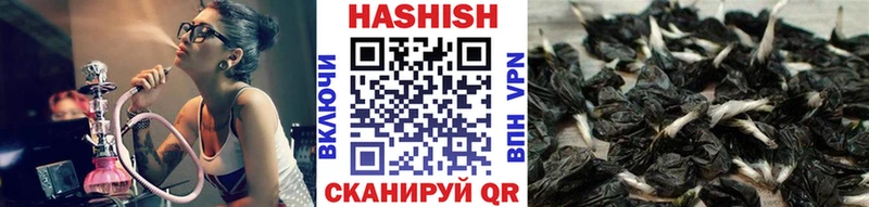 omg как зайти  Дмитриев  ГАШ индика сатива 