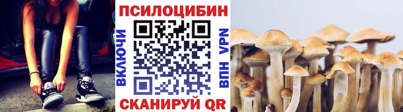 Псилоцибиновые грибы MAGIC MUSHROOMS  Дмитриев 