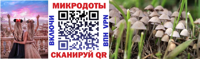 Галлюциногенные грибы прущие грибы Дмитриев