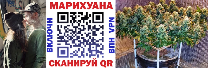 Марихуана сатива  продажа наркотиков  Дмитриев 